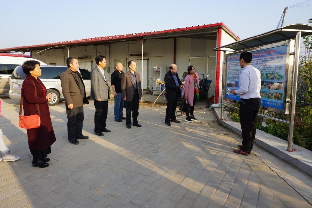 参观国家级梨试验站