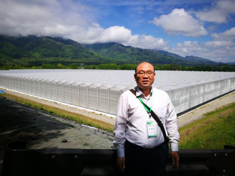 参观日本山梨县现代温室及番茄生产